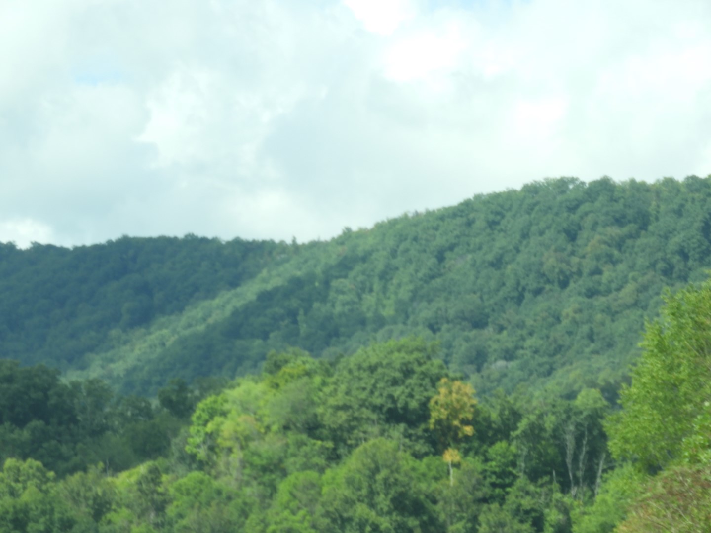 Along the Highway going to Cumberland Gap National Park near Middlesboro KY  7 of 15 (#5912)