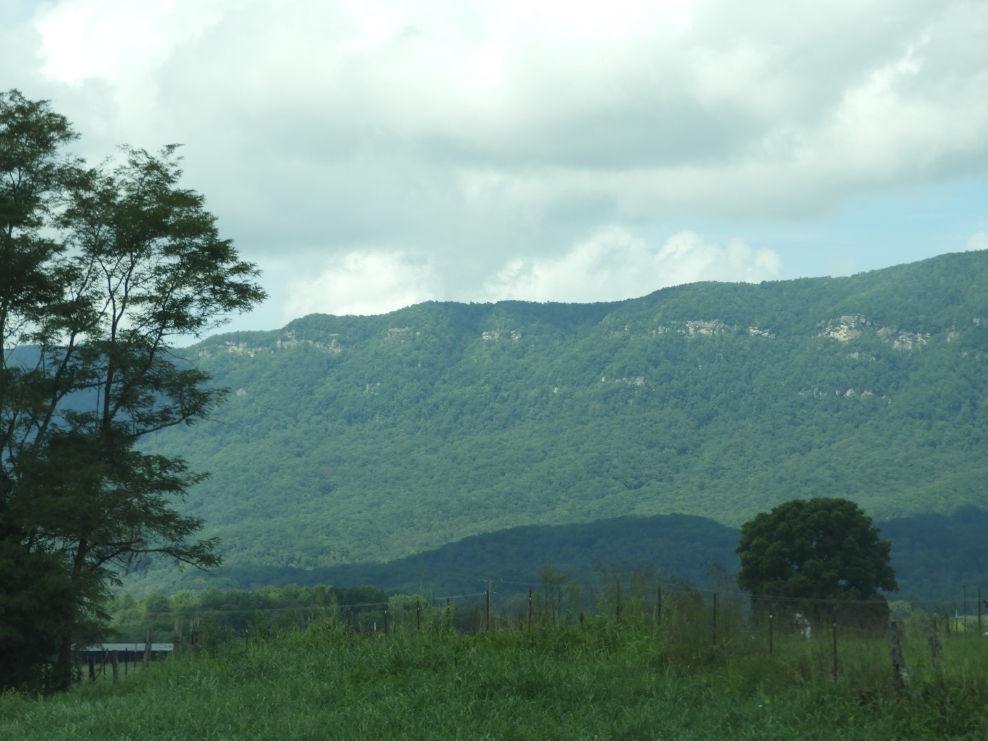 Along the Highway going to Cumberland Gap National Park near Middlesboro KY  9 of 15 (#5915)