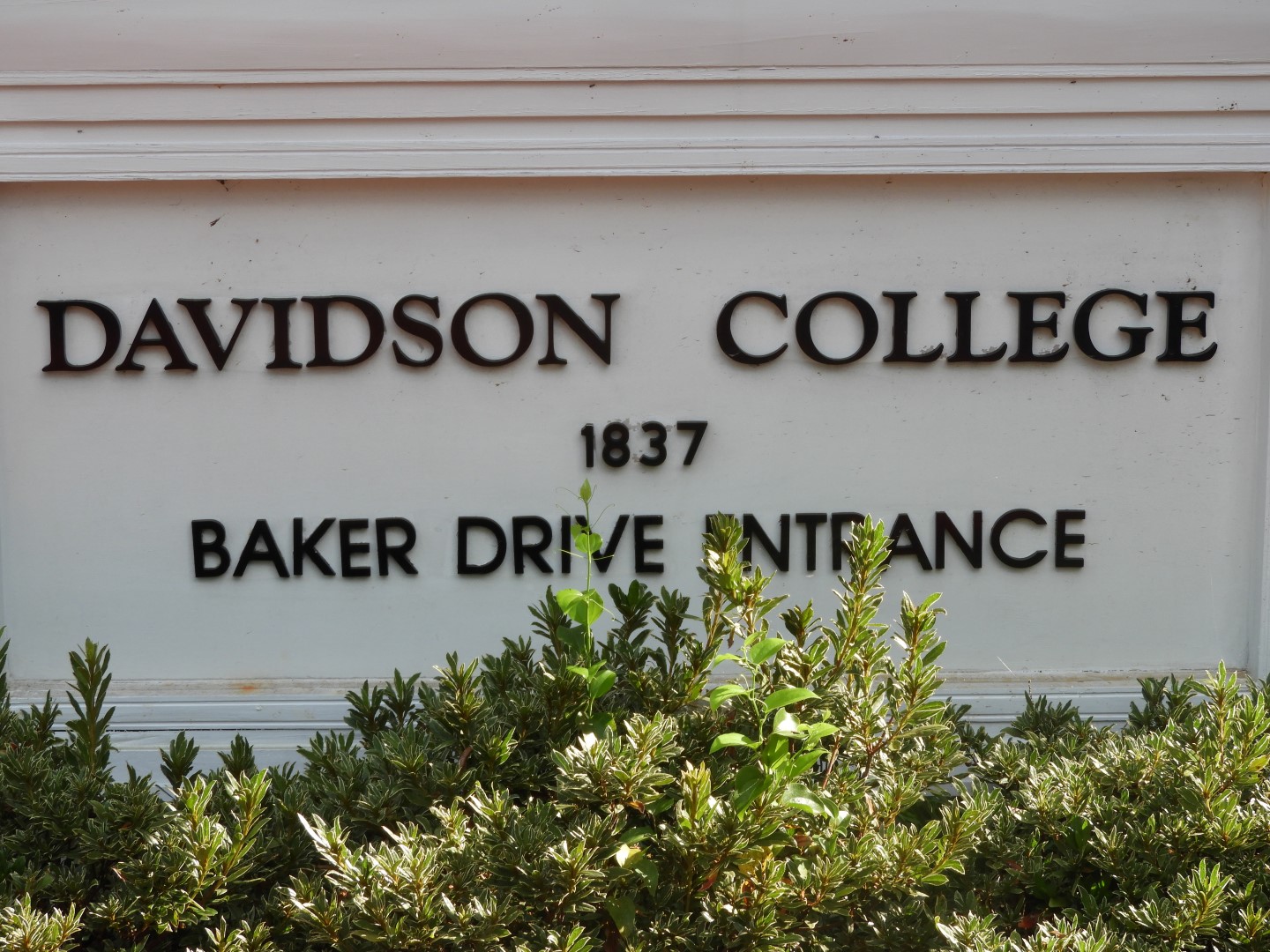 Davidson University in Davidson NC  1 of  3 (#5950)