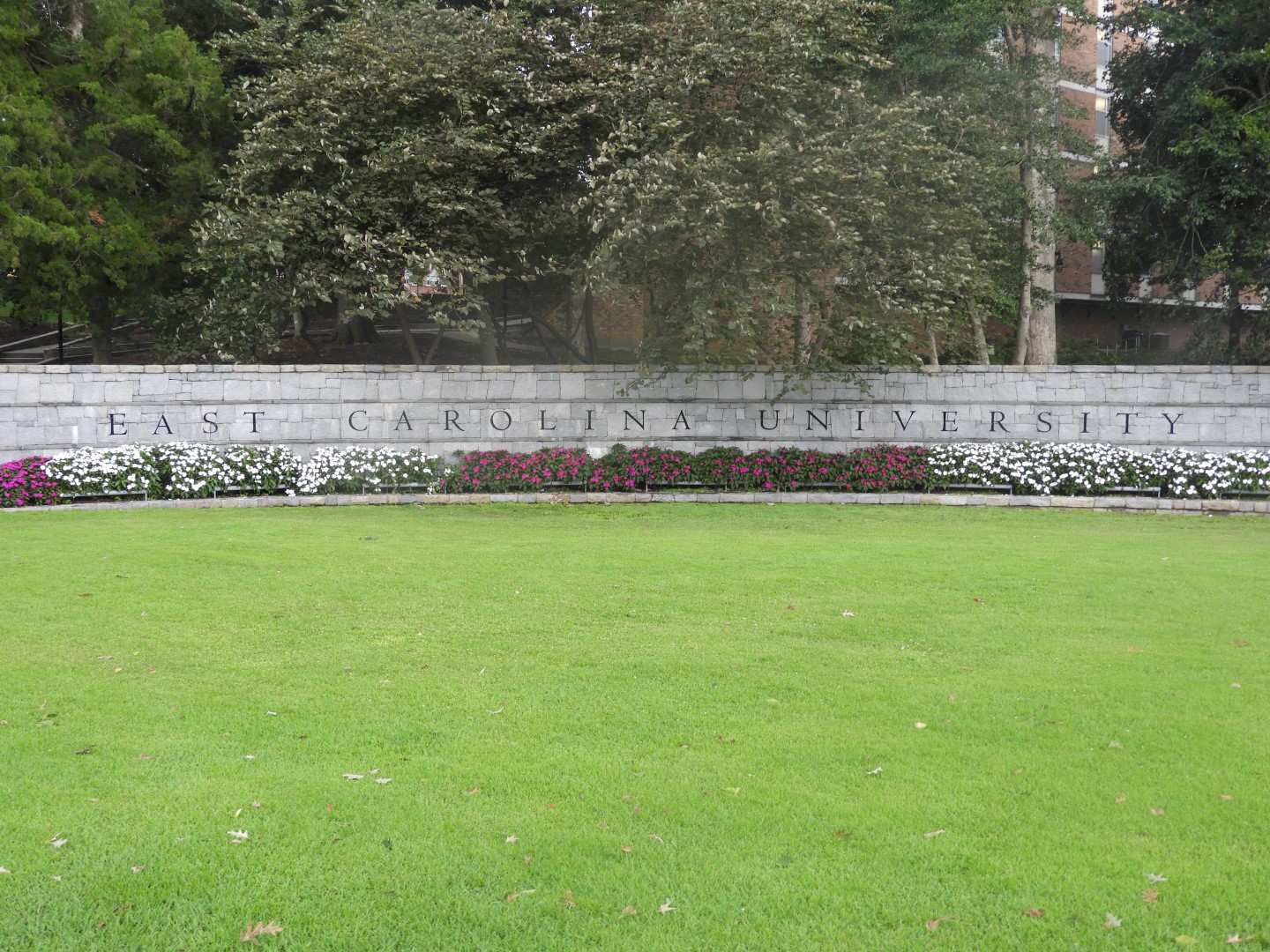 East Carolina University in Greenville NC  1 of  3 (#5953)