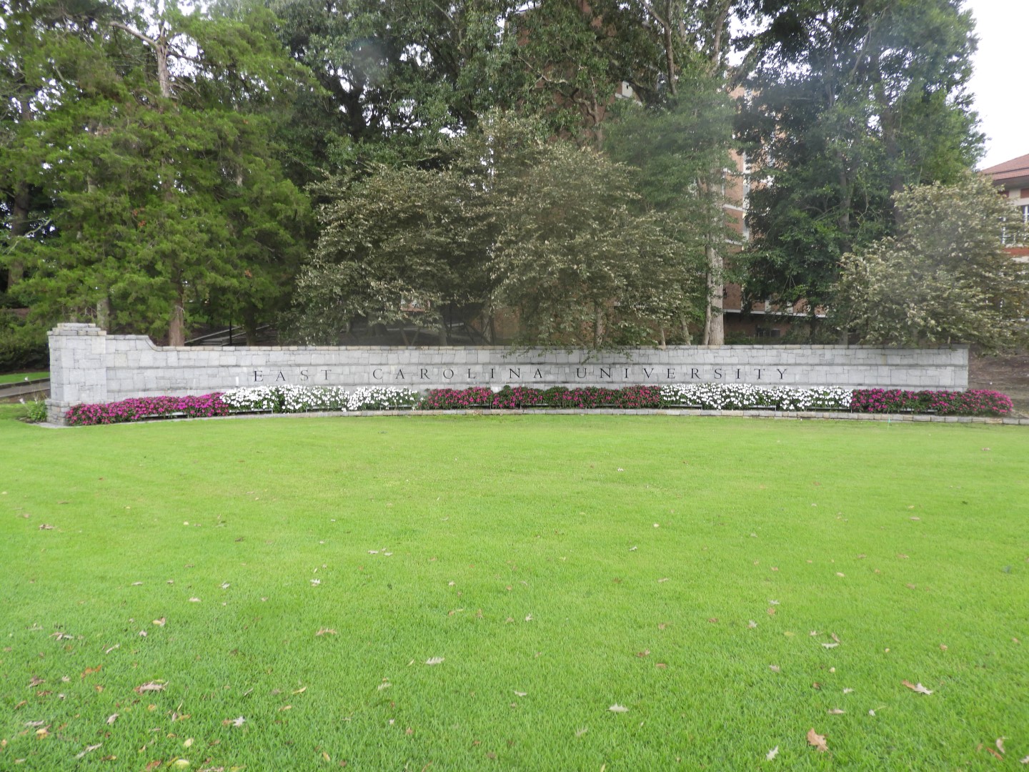 East Carolina University in Greenville NC  2 of  3 (#5954)