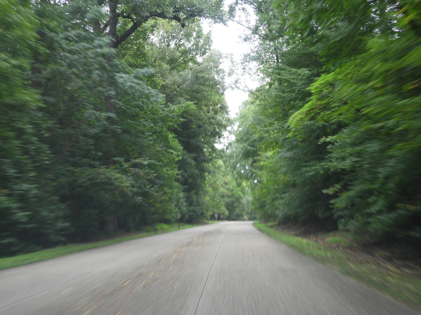 Colonial Parkway in Eastern Virginia  2 of 11 (#5987)