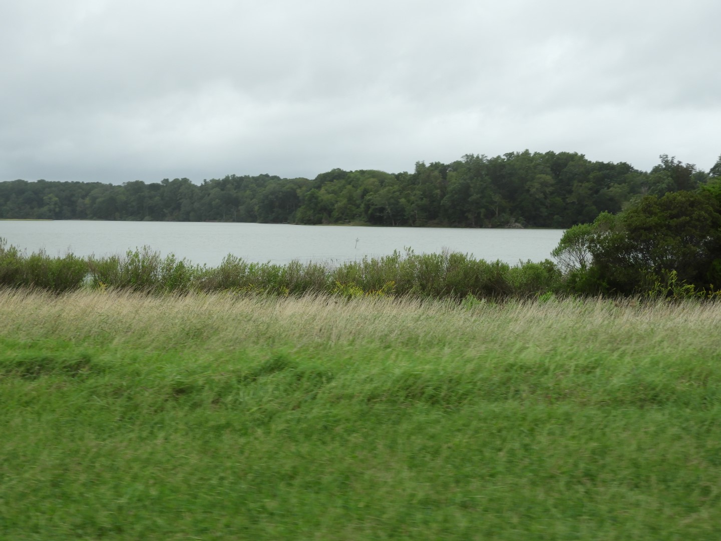Colonial Parkway in Eastern Virginia  3 of 11 (#5988)