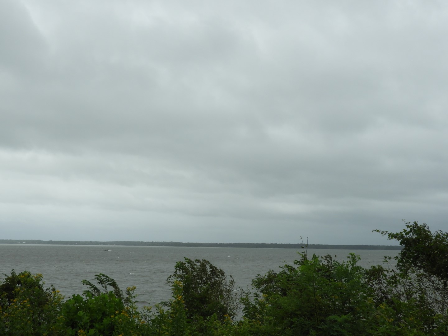 Colonial Parkway in Eastern Virginia  6 of 11 (#5991)