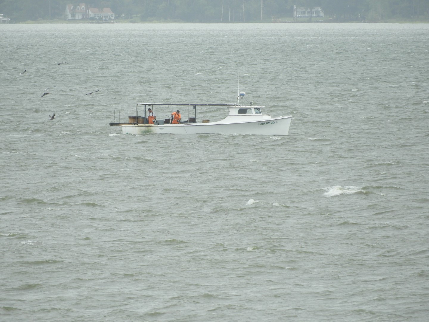 Colonial Parkway in Eastern Virginia 10 of 11 (#5995)