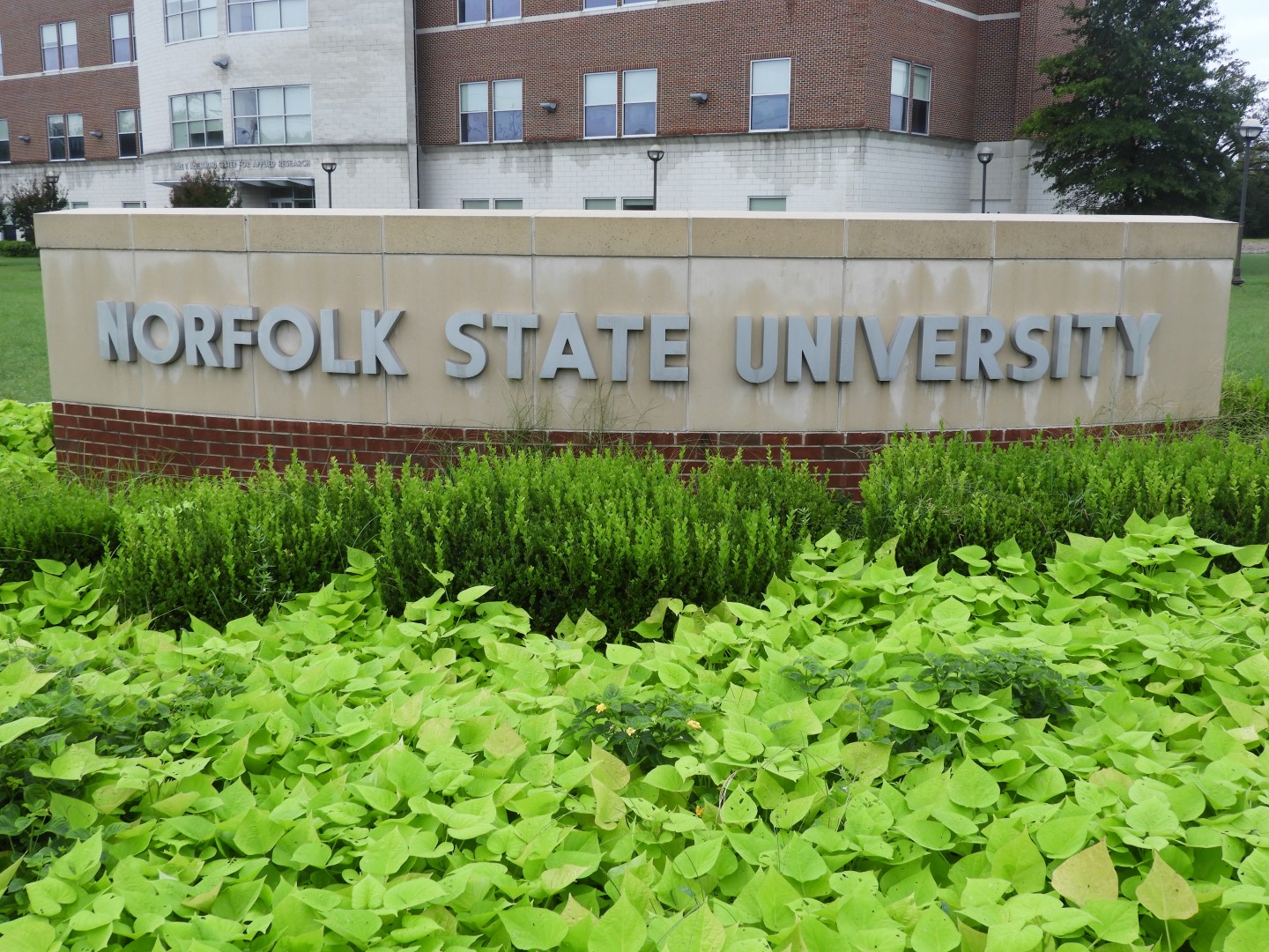 Norfolk State University in Norfolk VA  1 of  6 (#6031)