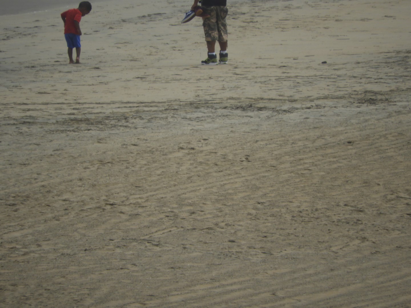 Around the Hotel in Virginia Beach VA  5 of 31 (#6043)