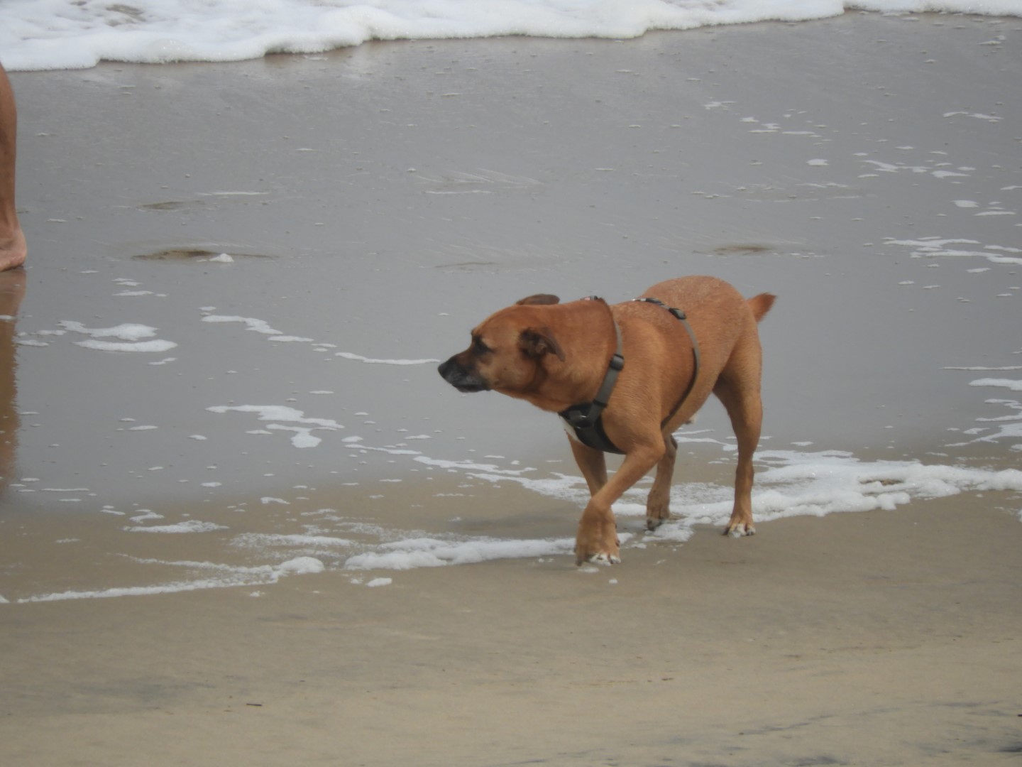 Around the Hotel in Virginia Beach VA  9 of 31 (#6048)