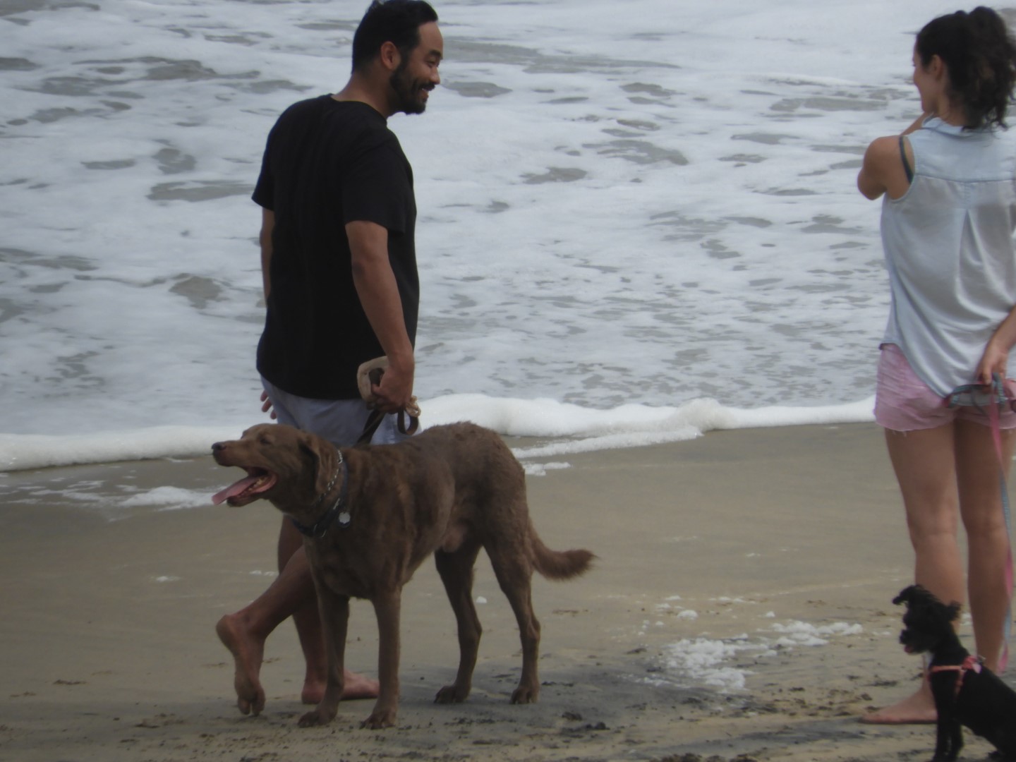 Around the Hotel in Virginia Beach VA 12 of 31 (#6051)