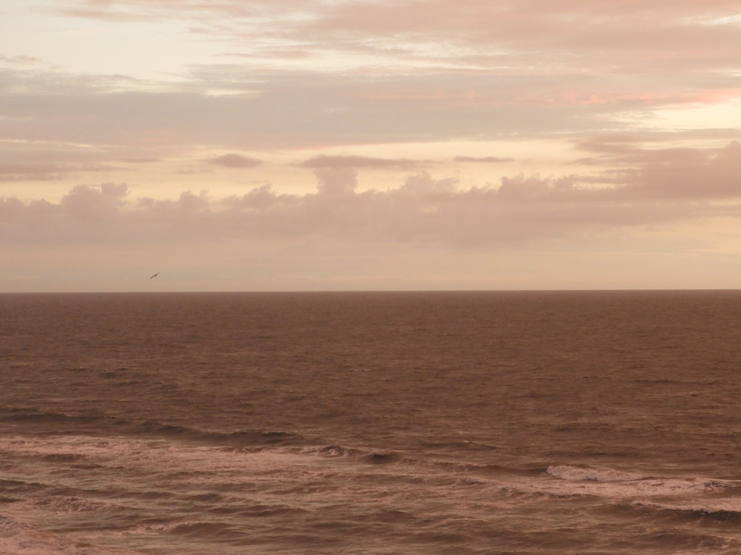 Sunrise from Hotel in Virginia Beach VA  7 of 65 (#6079)
