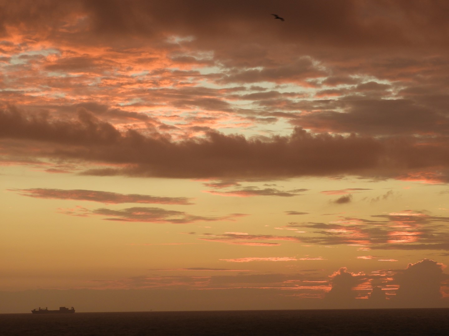 Sunrise from Hotel in Virginia Beach VA 11 of 65 (#6089)