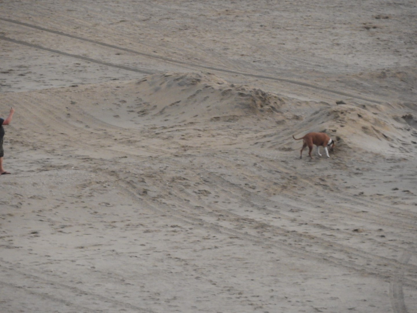 Around the Hotel in Virginia Beach VA 25 of 31 (#6107)