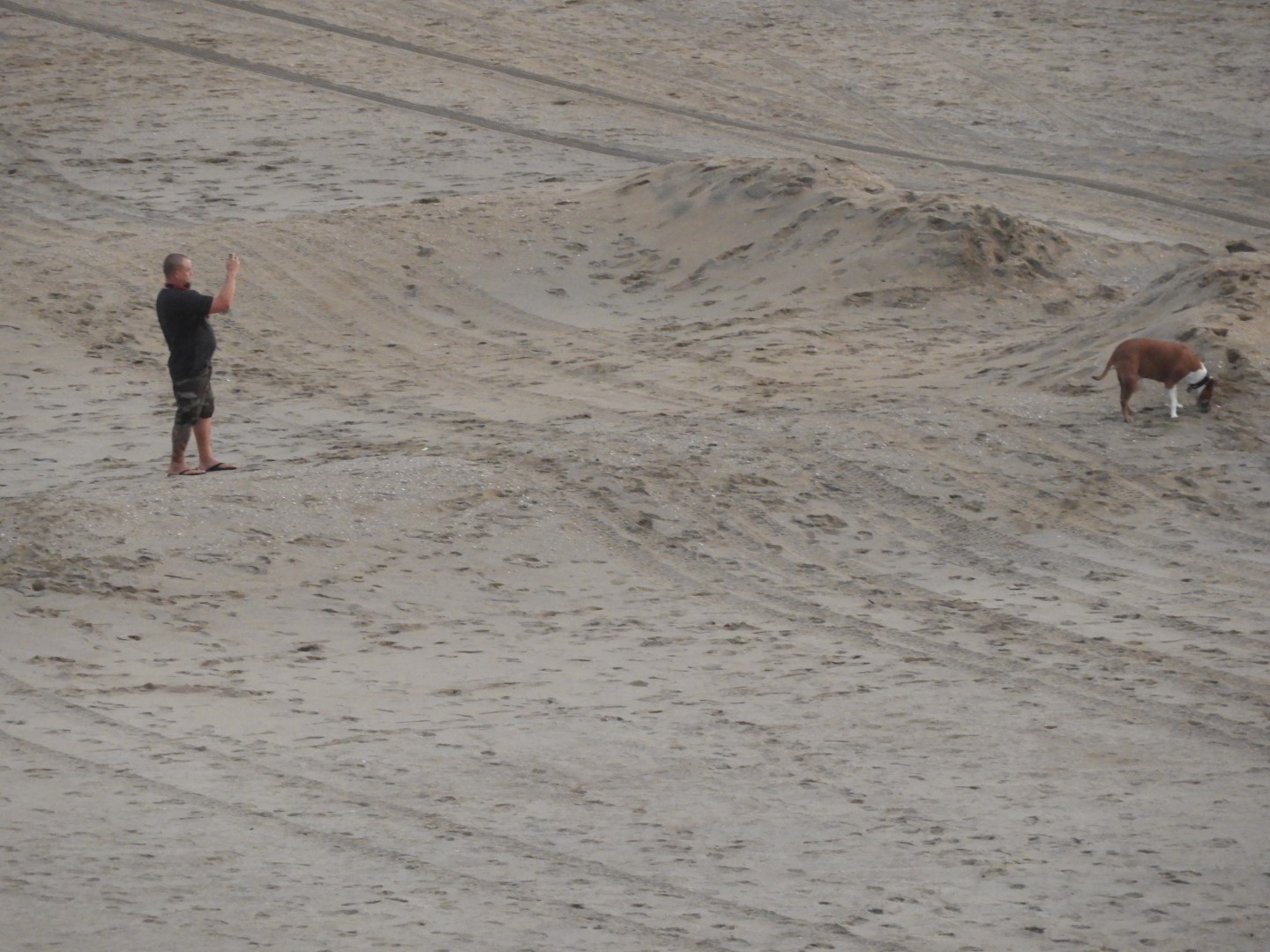 Around the Hotel in Virginia Beach VA 26 of 31 (#6108)