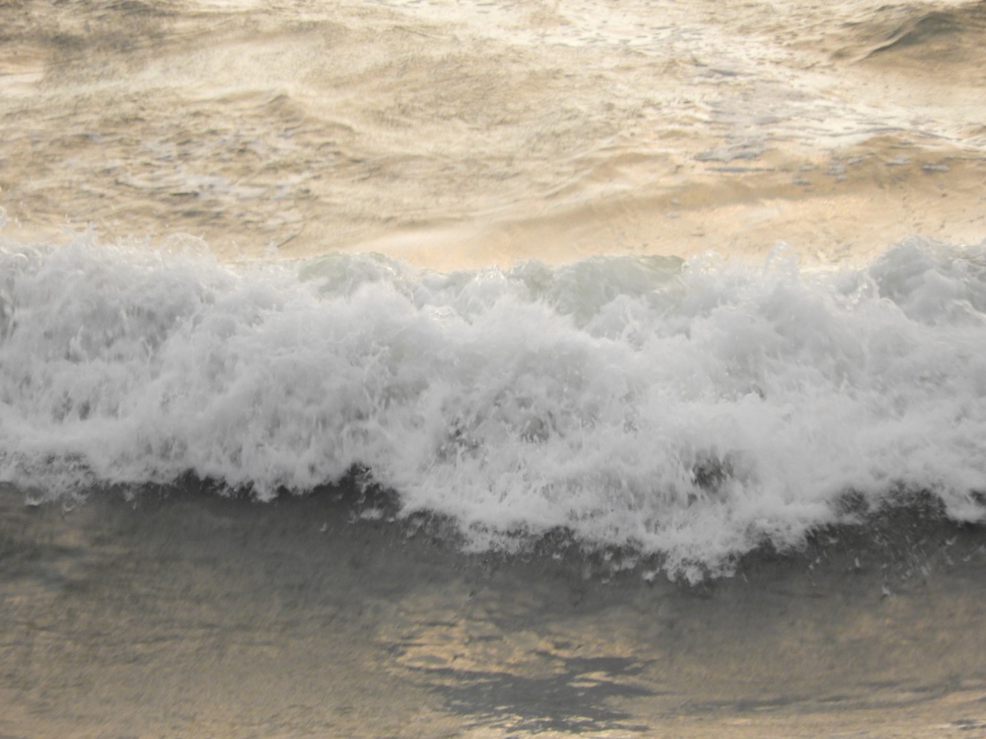 The Atlantic Ocean near the Hotel in Virginia Beach VA  9 of 11 (#6142)