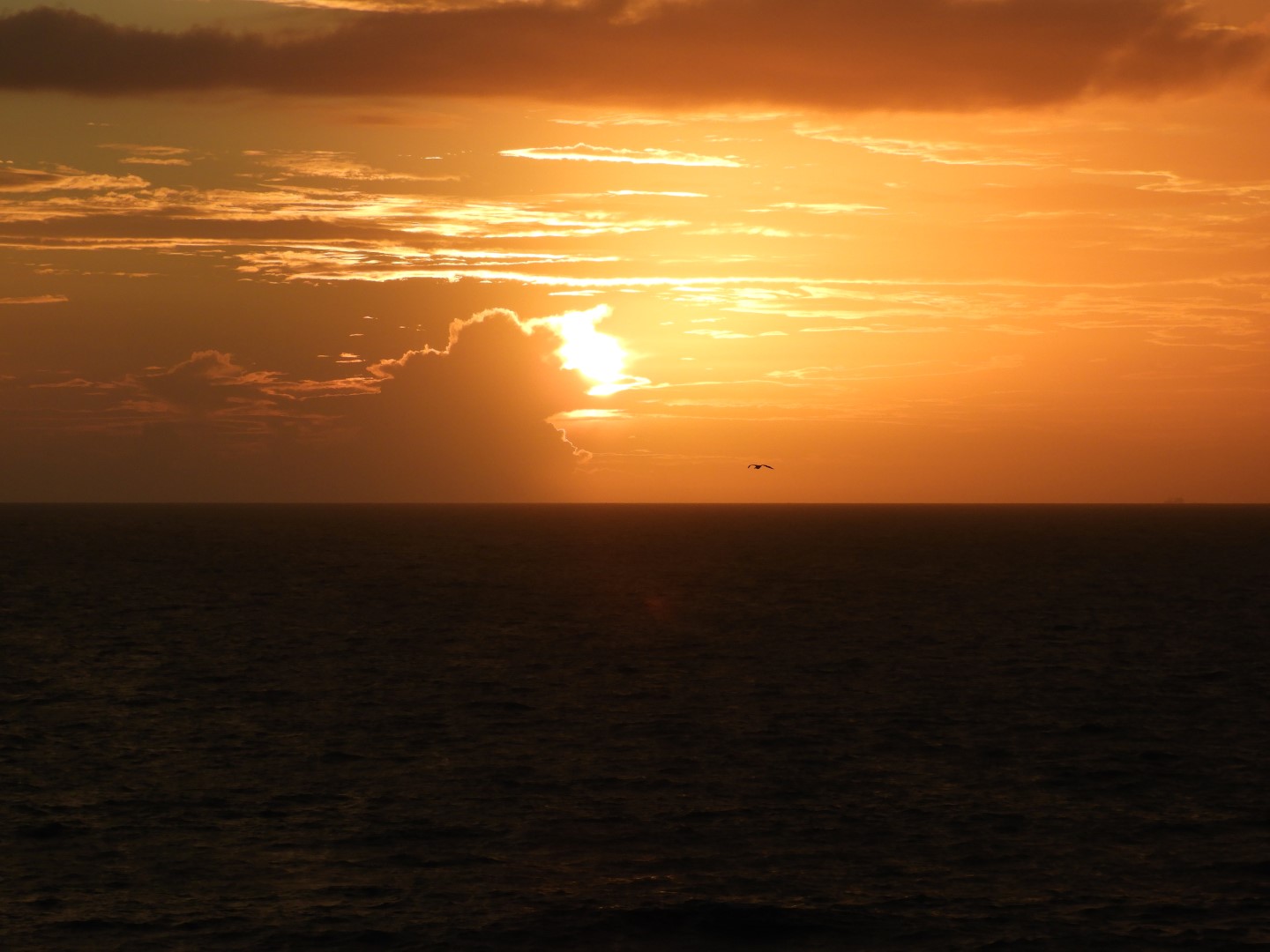 Sunrise from Hotel in Virginia Beach VA 55 of 65 (#6169)