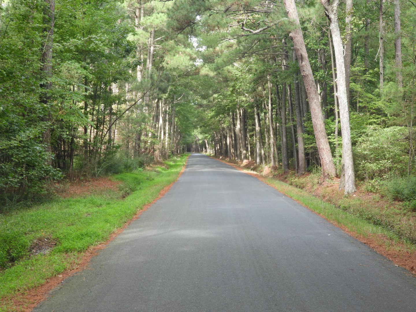 Parkers Marsh VA on the Delaware Peninsula (closed)  1 of  1 (#6180)