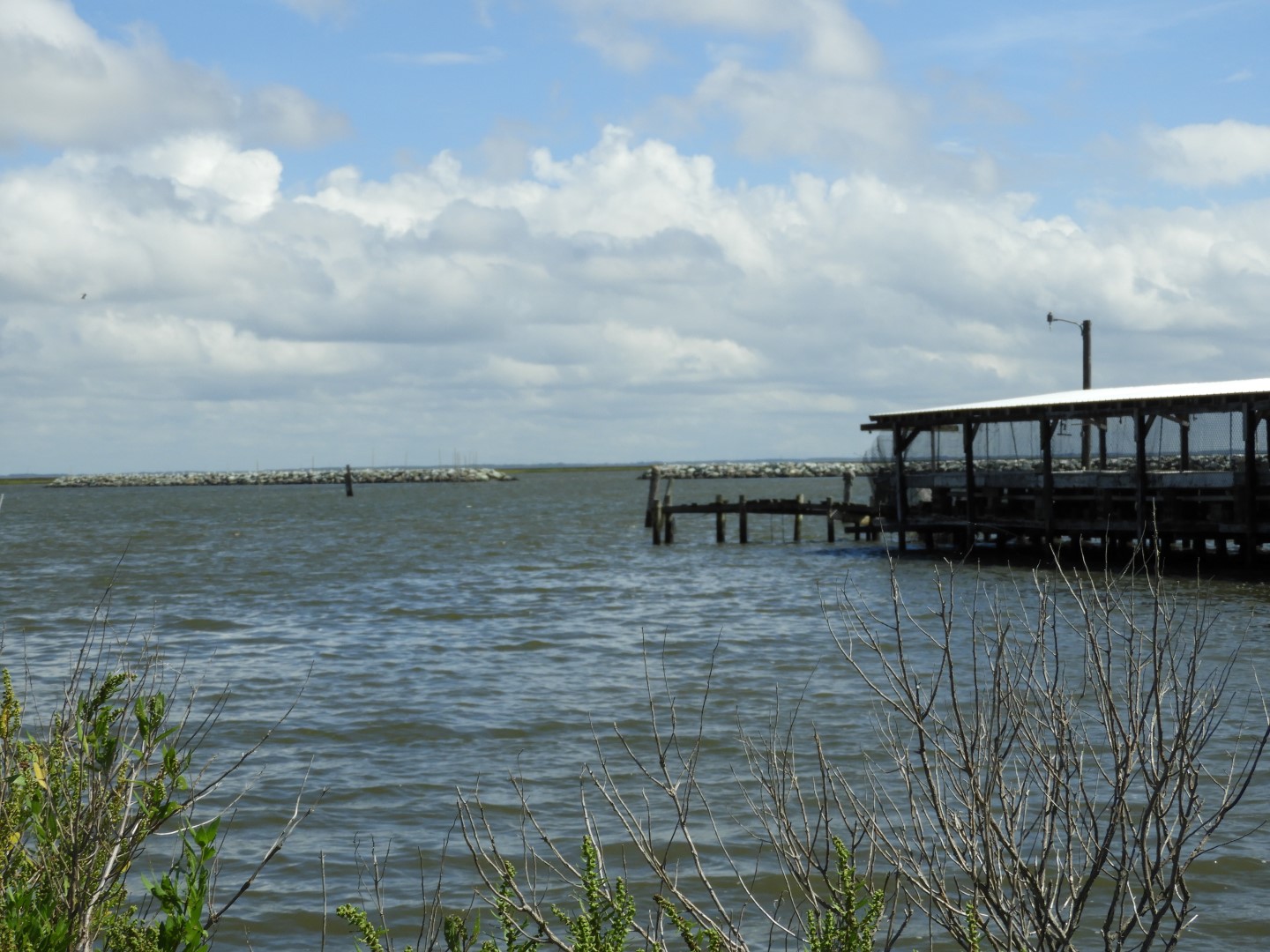 Deal Island in MD on the Delaware Peninsula  3 of 10 (#6193)