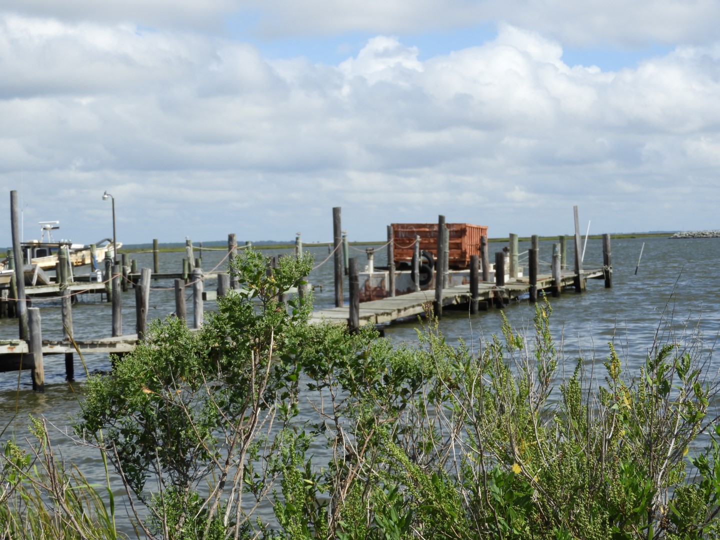 Deal Island in MD on the Delaware Peninsula  4 of 10 (#6194)