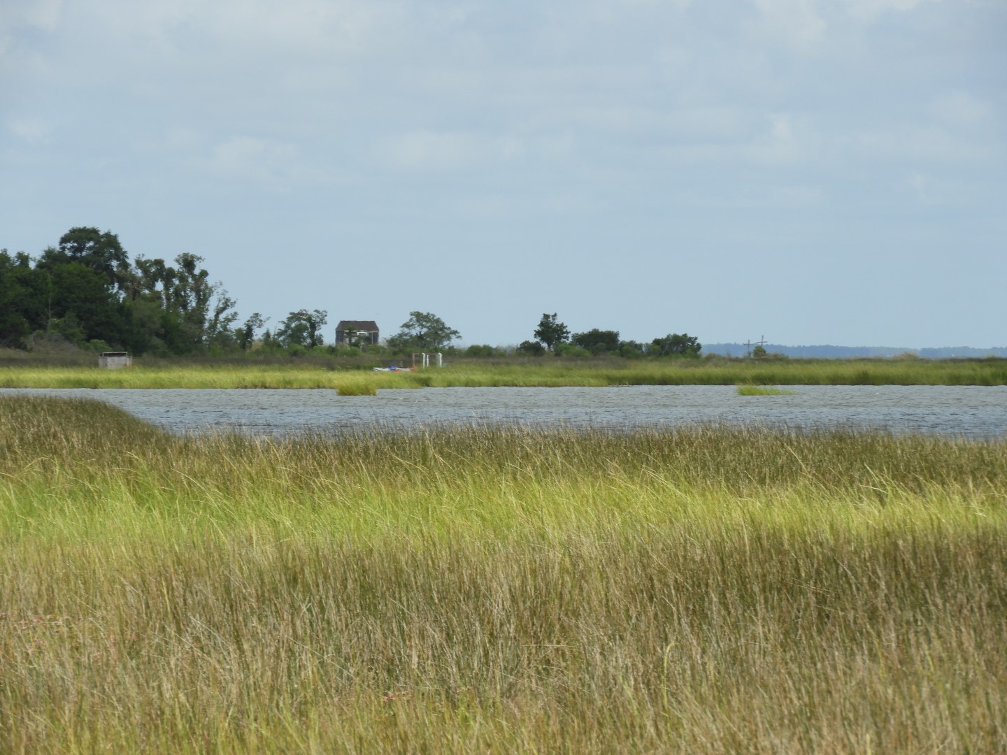 Deal Island in MD on the Delaware Peninsula 10 of 10 (#6202)