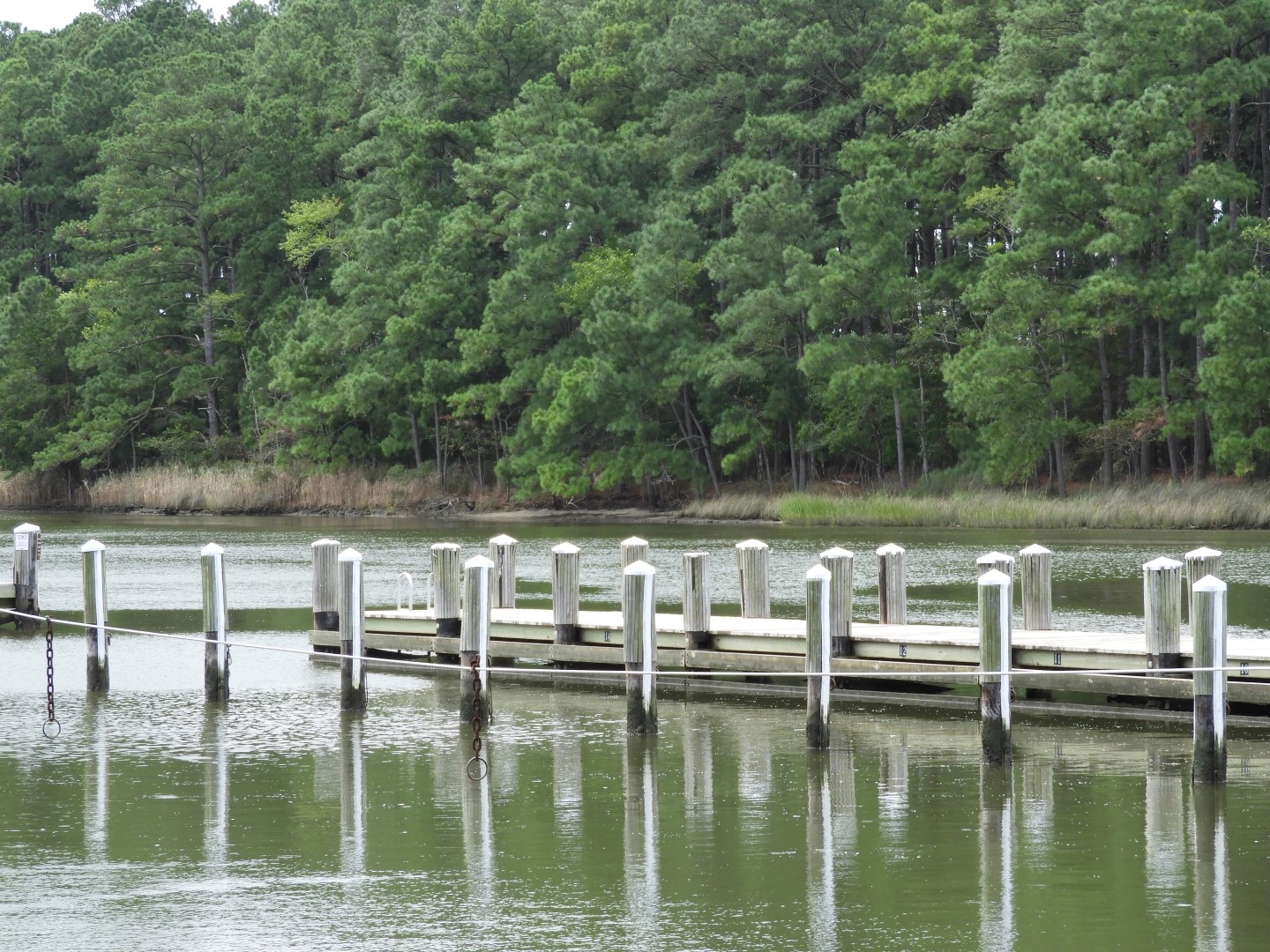 Water at Janes Island State Park in MD on the Delaware Peninsula  1 of 39 (#6212)
