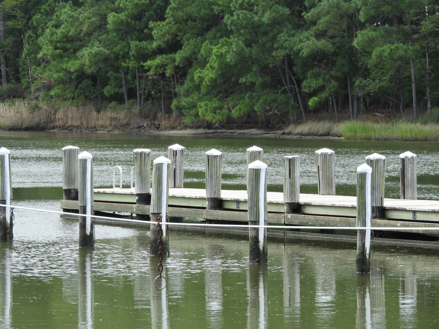 Water at Janes Island State Park in MD on the Delaware Peninsula  2 of 39 (#6213)