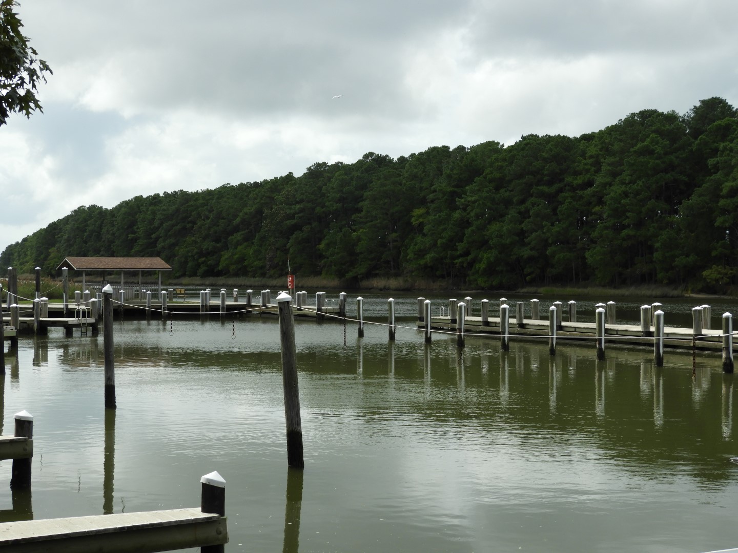 Water at Janes Island State Park in MD on the Delaware Peninsula  3 of 39 (#6214)