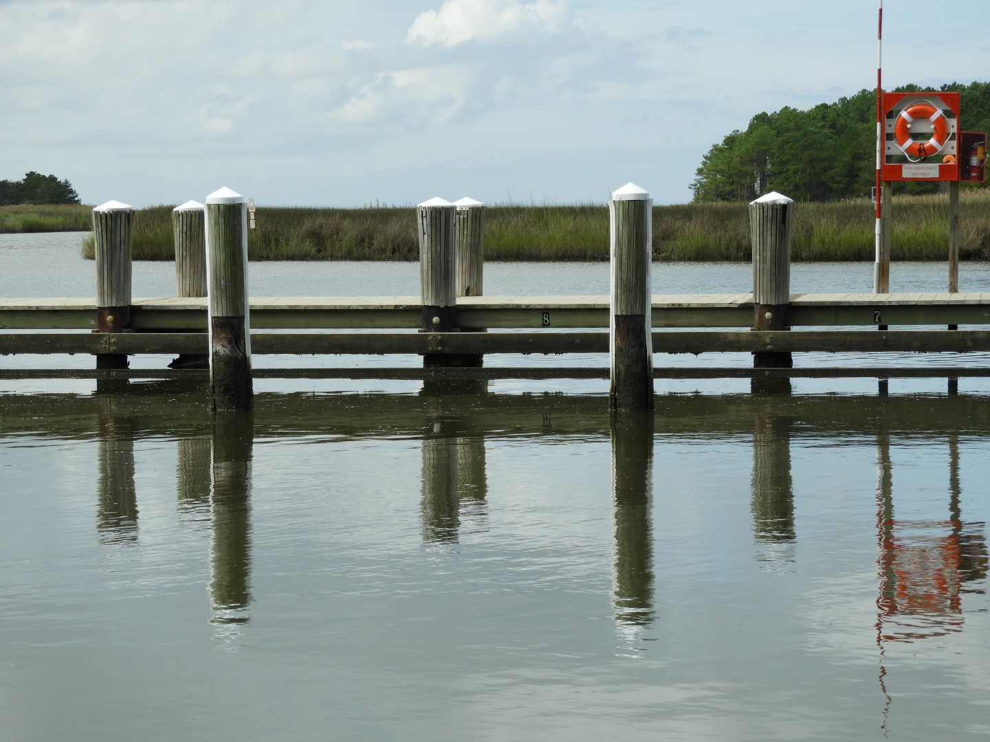 Water at Janes Island State Park in MD on the Delaware Peninsula  4 of 39 (#6215)