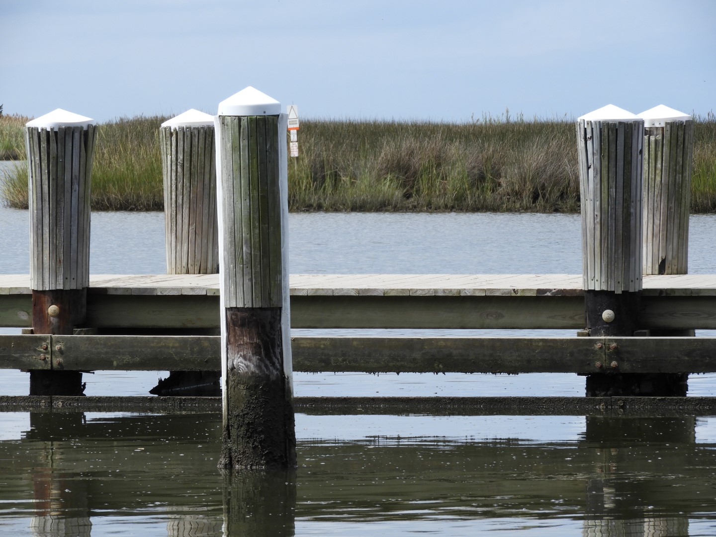 Water at Janes Island State Park in MD on the Delaware Peninsula  5 of 39 (#6216)