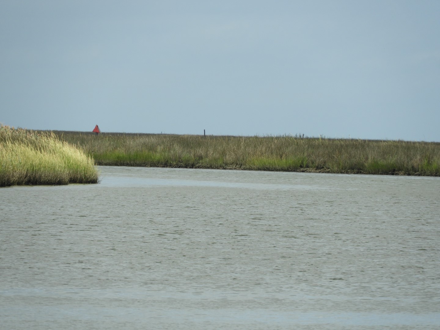 Water at Janes Island State Park in MD on the Delaware Peninsula  7 of 39 (#6218)