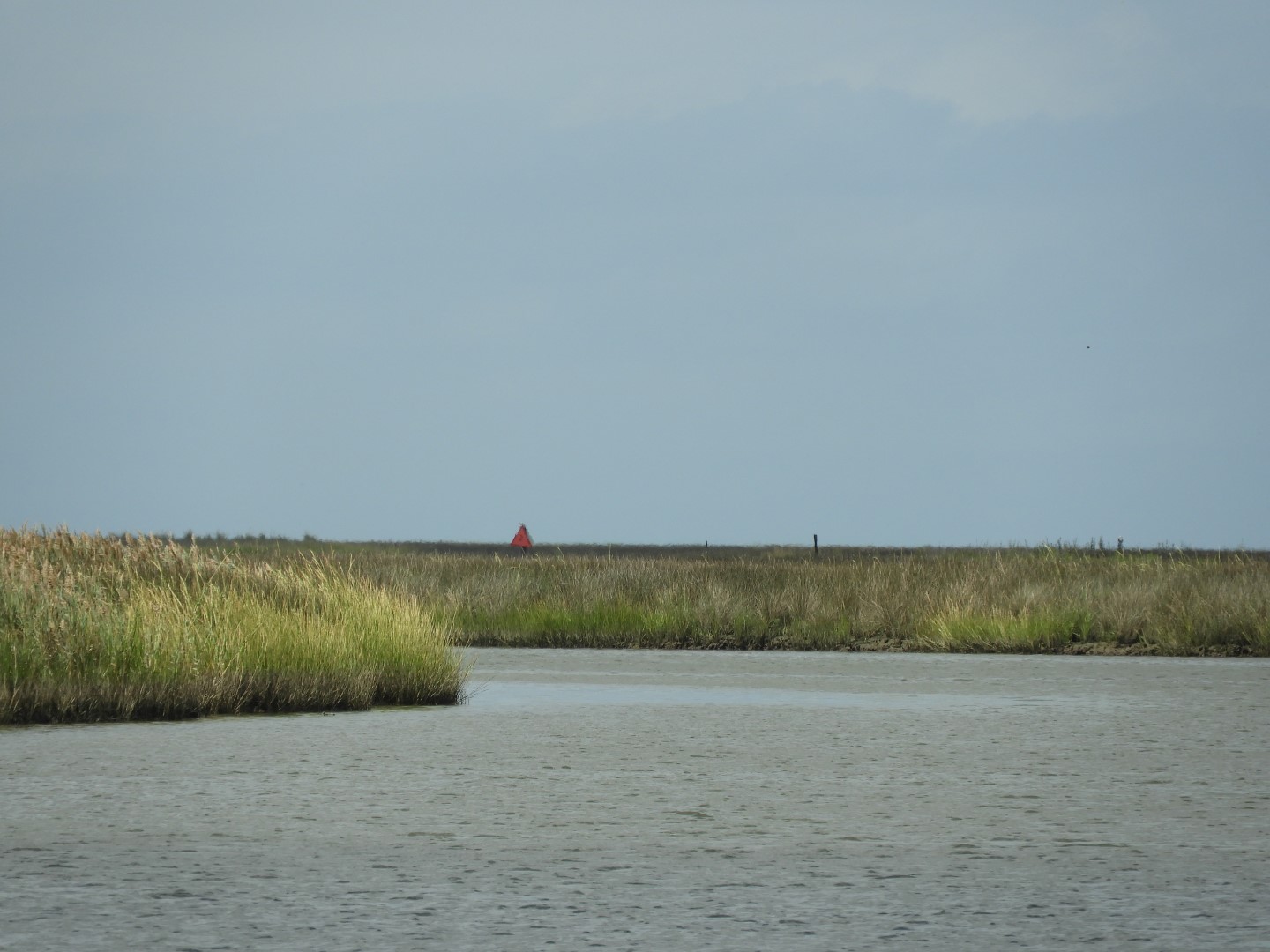 Water at Janes Island State Park in MD on the Delaware Peninsula  8 of 39 (#6219)