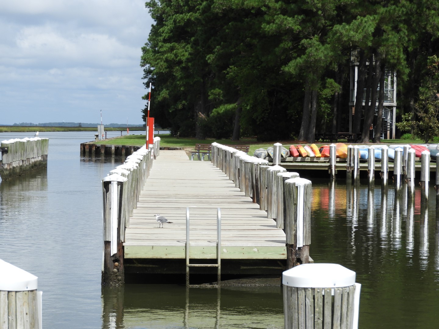 Water at Janes Island State Park in MD on the Delaware Peninsula 10 of 39 (#6223)