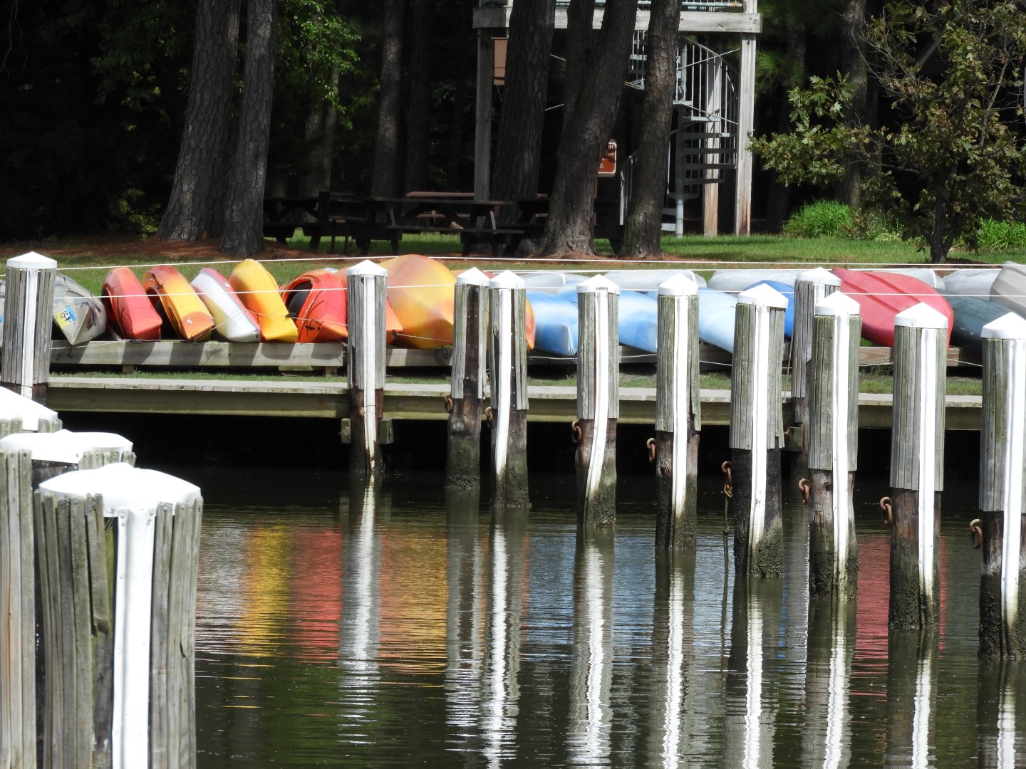 Water at Janes Island State Park in MD on the Delaware Peninsula 11 of 39 (#6224)