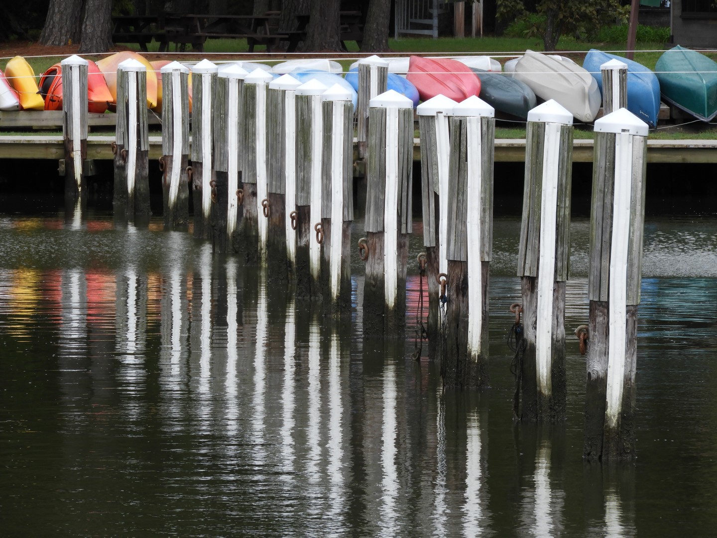 Water at Janes Island State Park in MD on the Delaware Peninsula 12 of 39 (#6225)