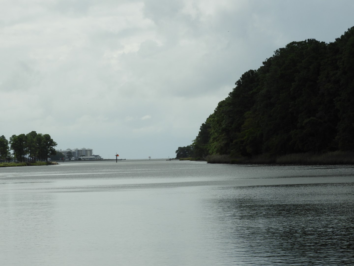 Water at Janes Island State Park in MD on the Delaware Peninsula 15 of 39 (#6228)
