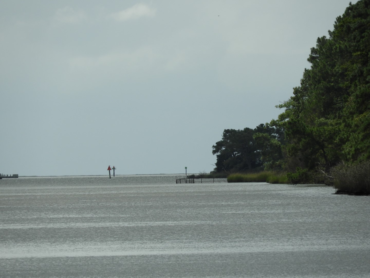 Water at Janes Island State Park in MD on the Delaware Peninsula 16 of 39 (#6229)