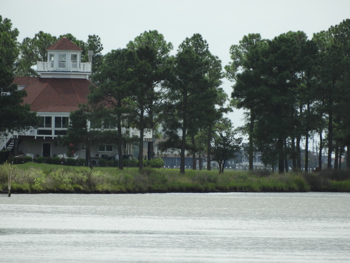Water at Janes Island State Park in MD on the Delaware Peninsula 17 of 39 (#6230)
