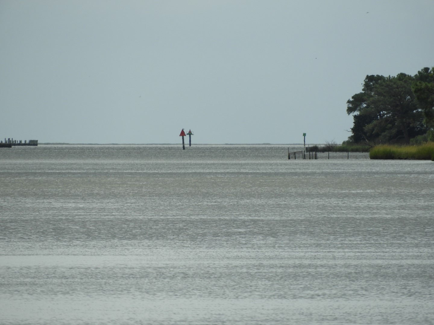 Water at Janes Island State Park in MD on the Delaware Peninsula 18 of 39 (#6231)