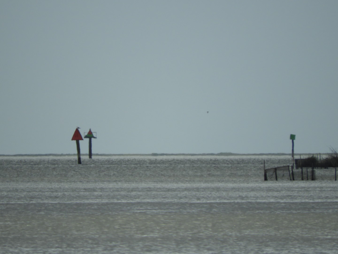 Water at Janes Island State Park in MD on the Delaware Peninsula 19 of 39 (#6232)