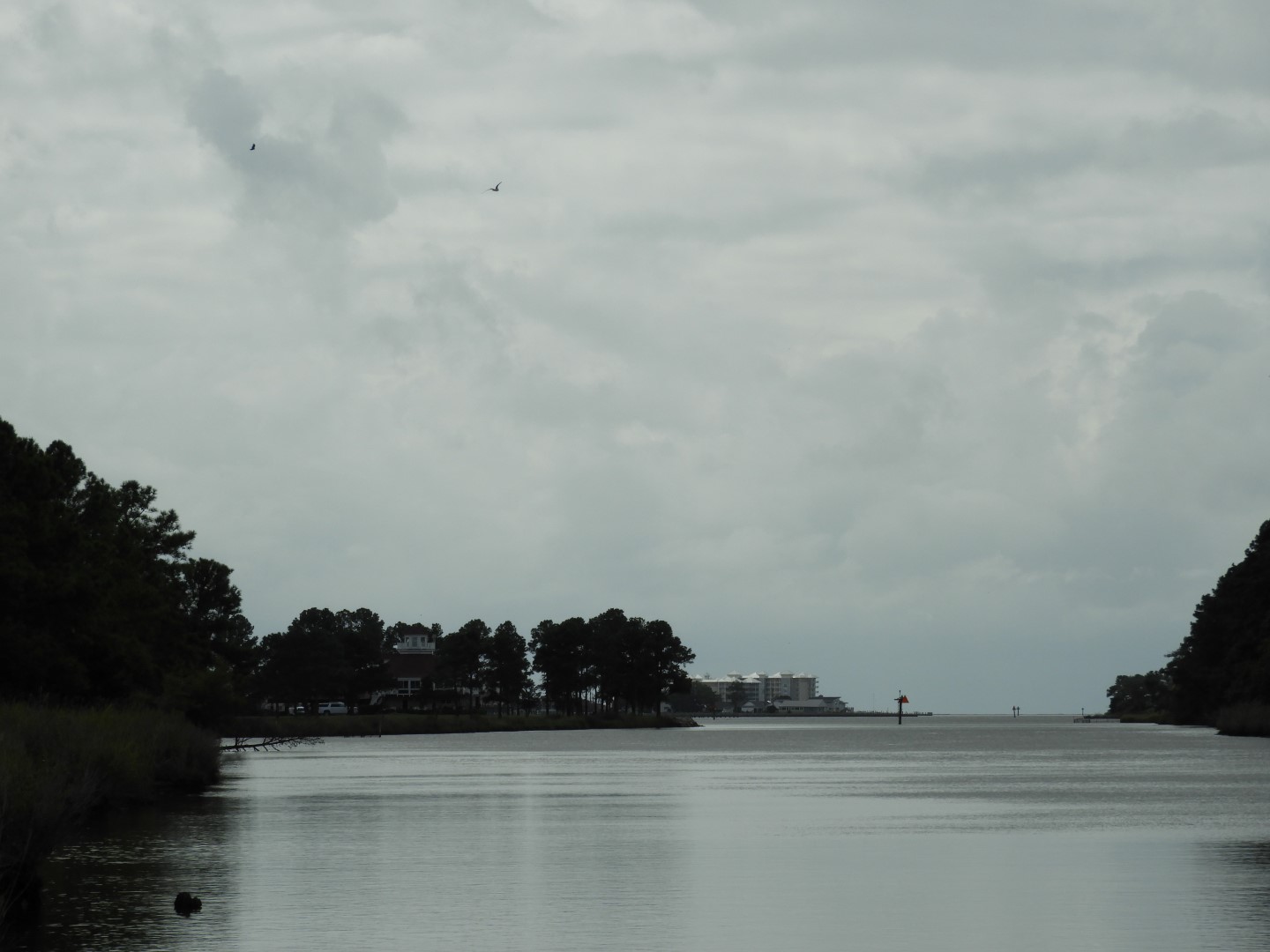 Water at Janes Island State Park in MD on the Delaware Peninsula 21 of 39 (#6234)