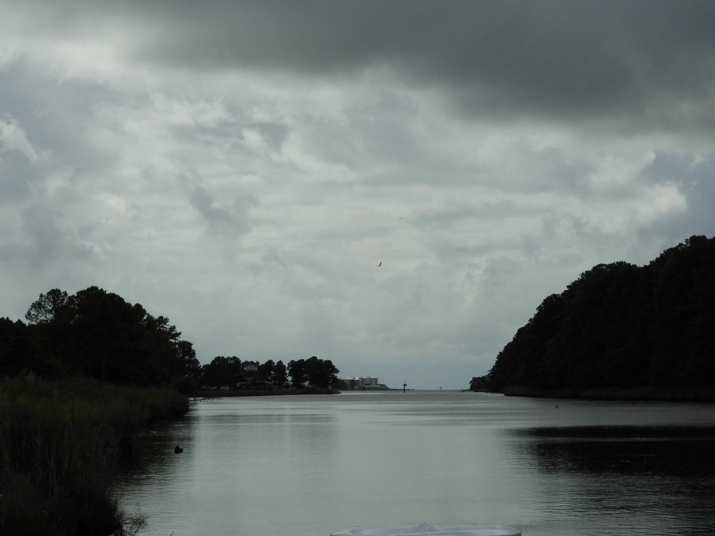 Water at Janes Island State Park in MD on the Delaware Peninsula 22 of 39 (#6235)