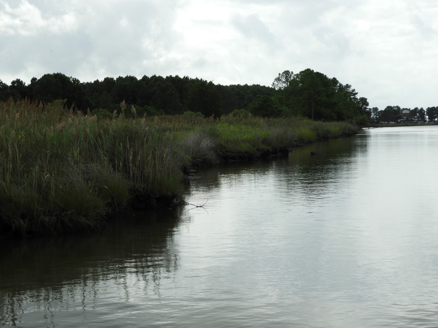 Water at Janes Island State Park in MD on the Delaware Peninsula 24 of 39 (#6237)