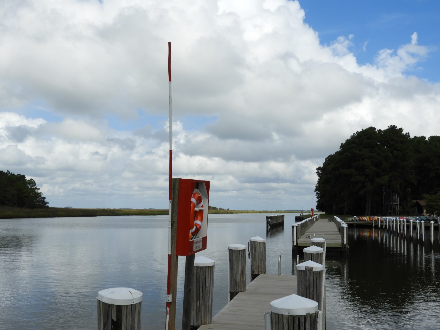 Water at Janes Island State Park in MD on the Delaware Peninsula 27 of 39 (#6240)