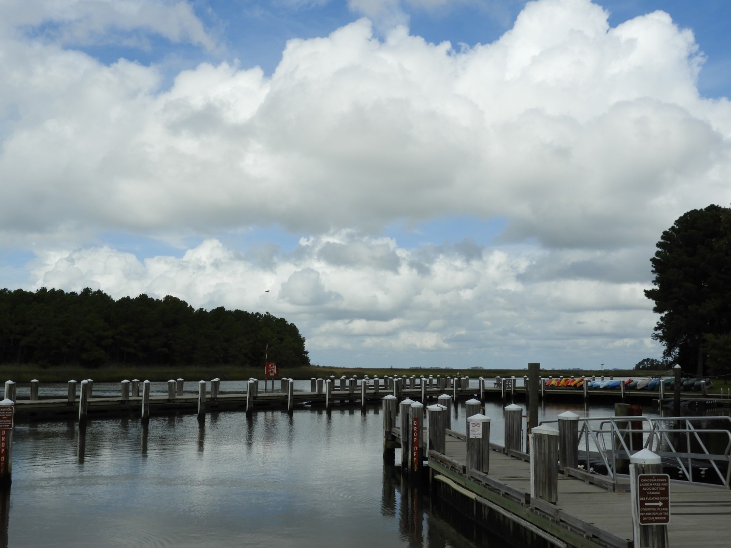 Water at Janes Island State Park in MD on the Delaware Peninsula 30 of 39 (#6245)