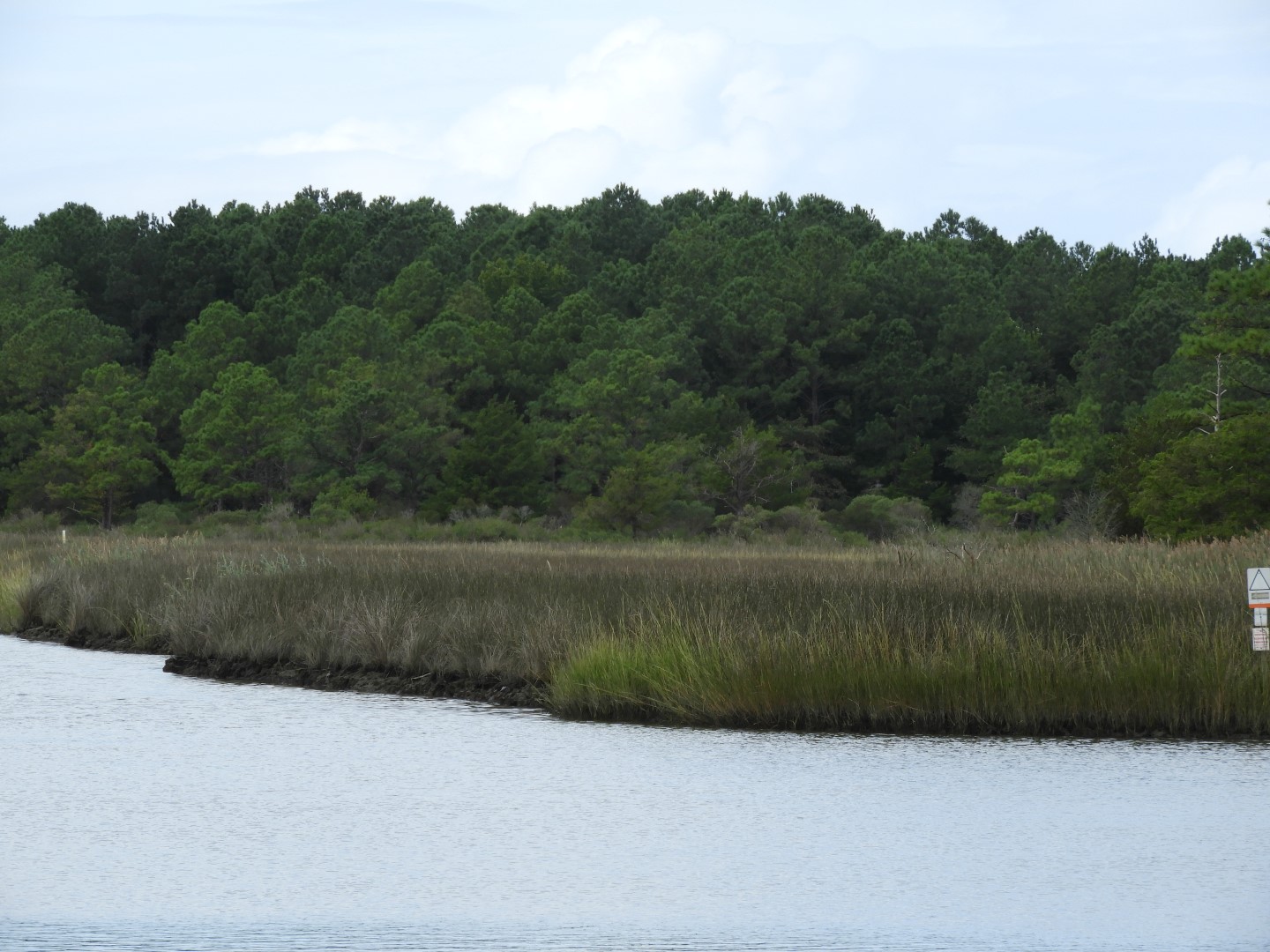 Water at Janes Island State Park in MD on the Delaware Peninsula 31 of 39 (#6246)