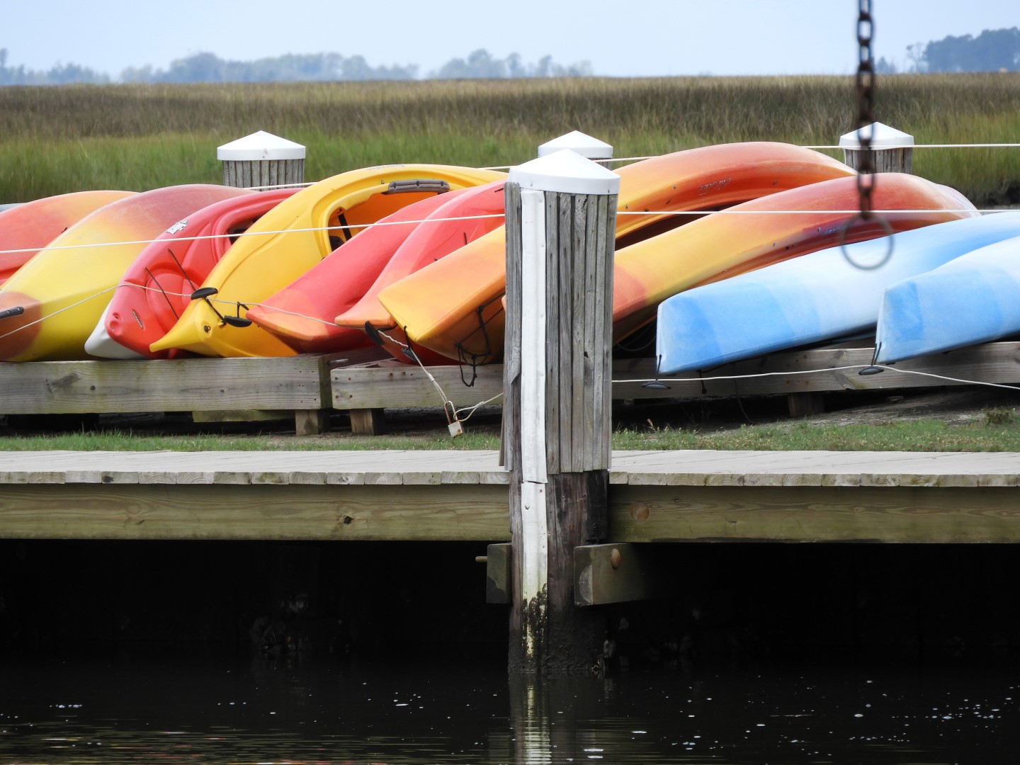Water at Janes Island State Park in MD on the Delaware Peninsula 32 of 39 (#6248)