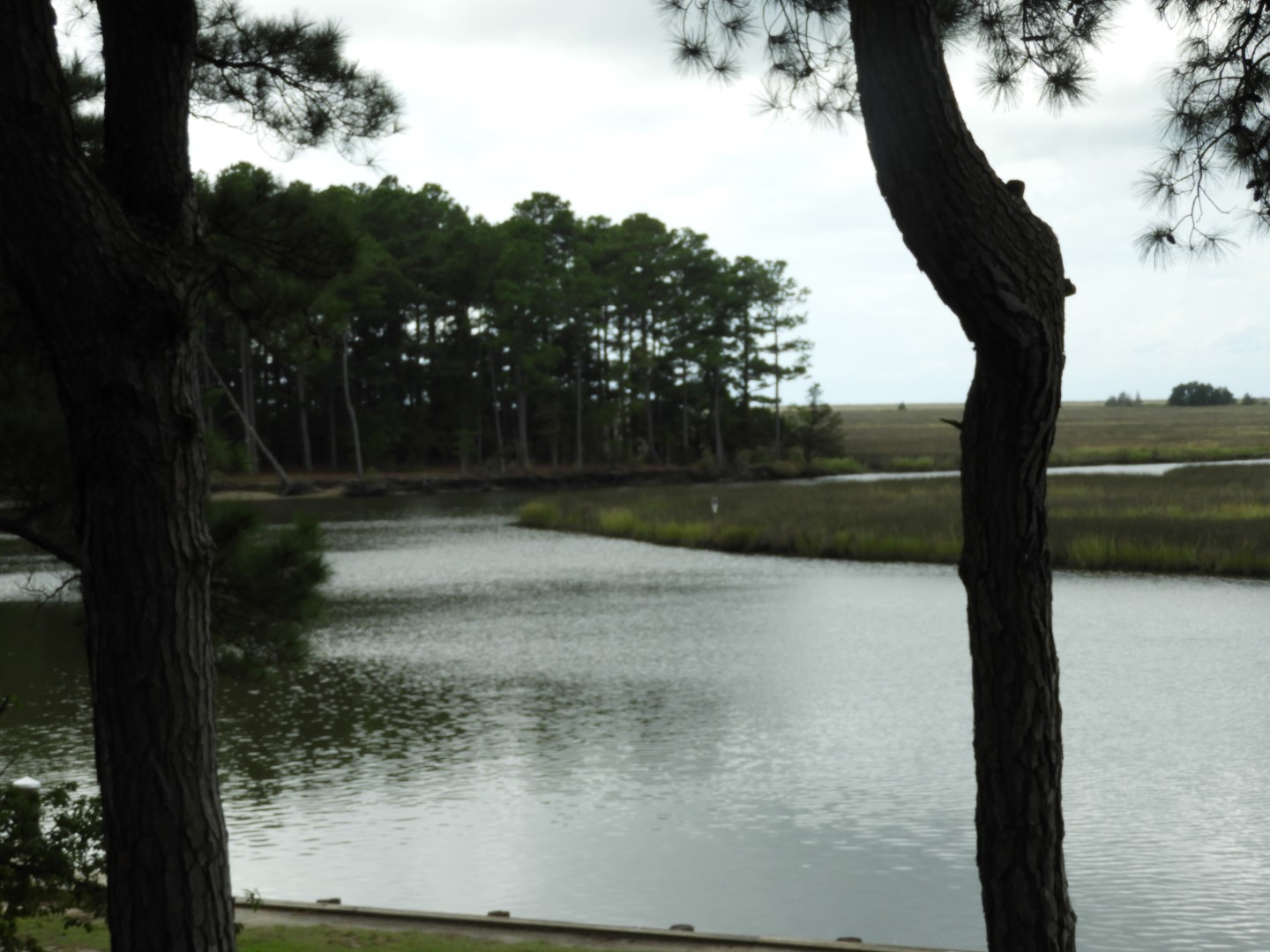 Water at Janes Island State Park in MD on the Delaware Peninsula 35 of 39 (#6255)