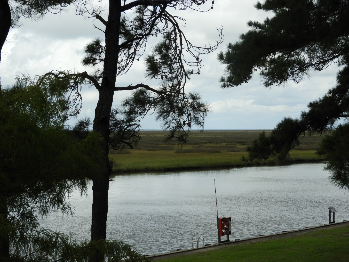 Water at Janes Island State Park in MD on the Delaware Peninsula 37 of 39 (#6257)
