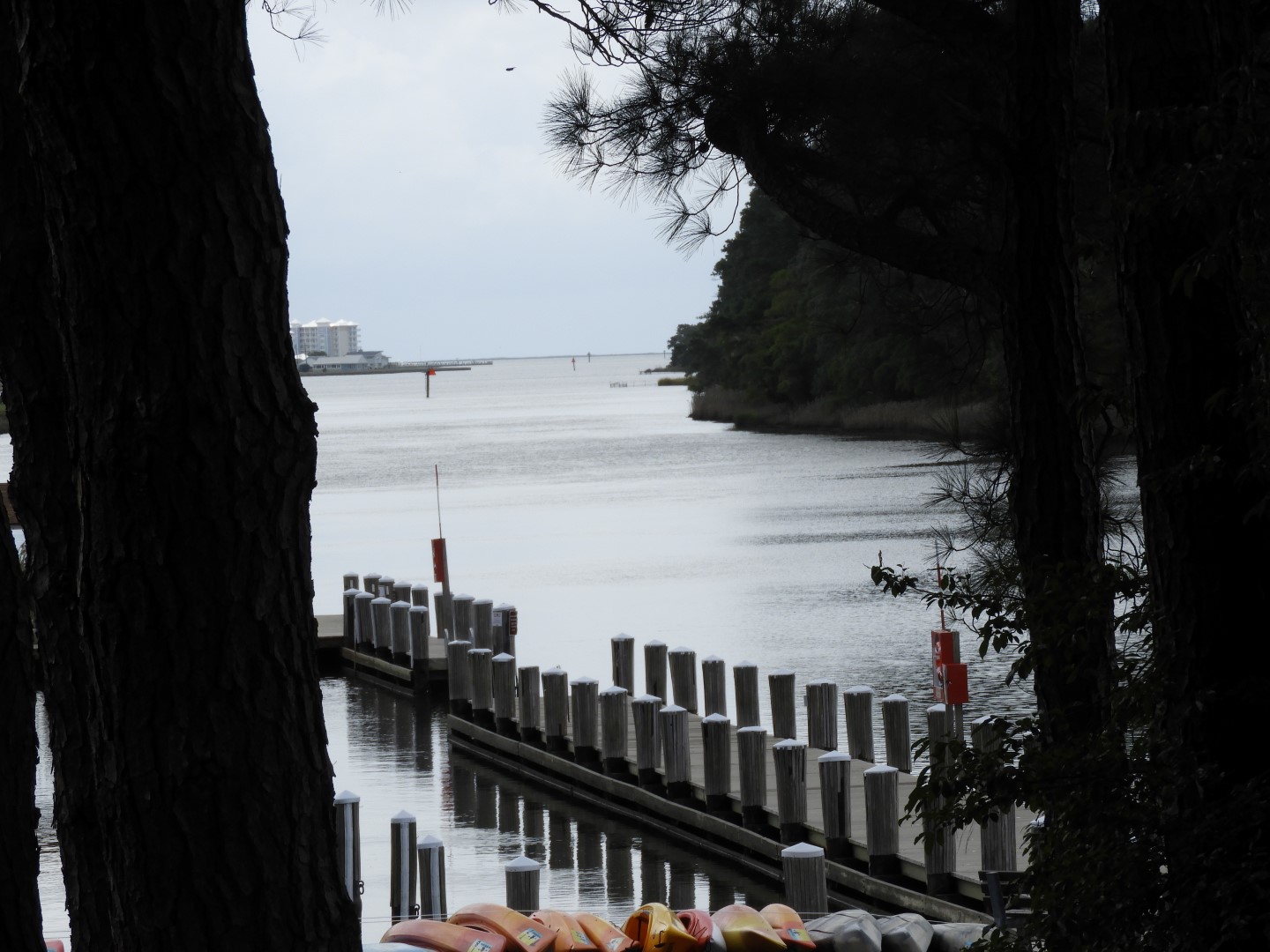 Water at Janes Island State Park in MD on the Delaware Peninsula 38 of 39 (#6261)