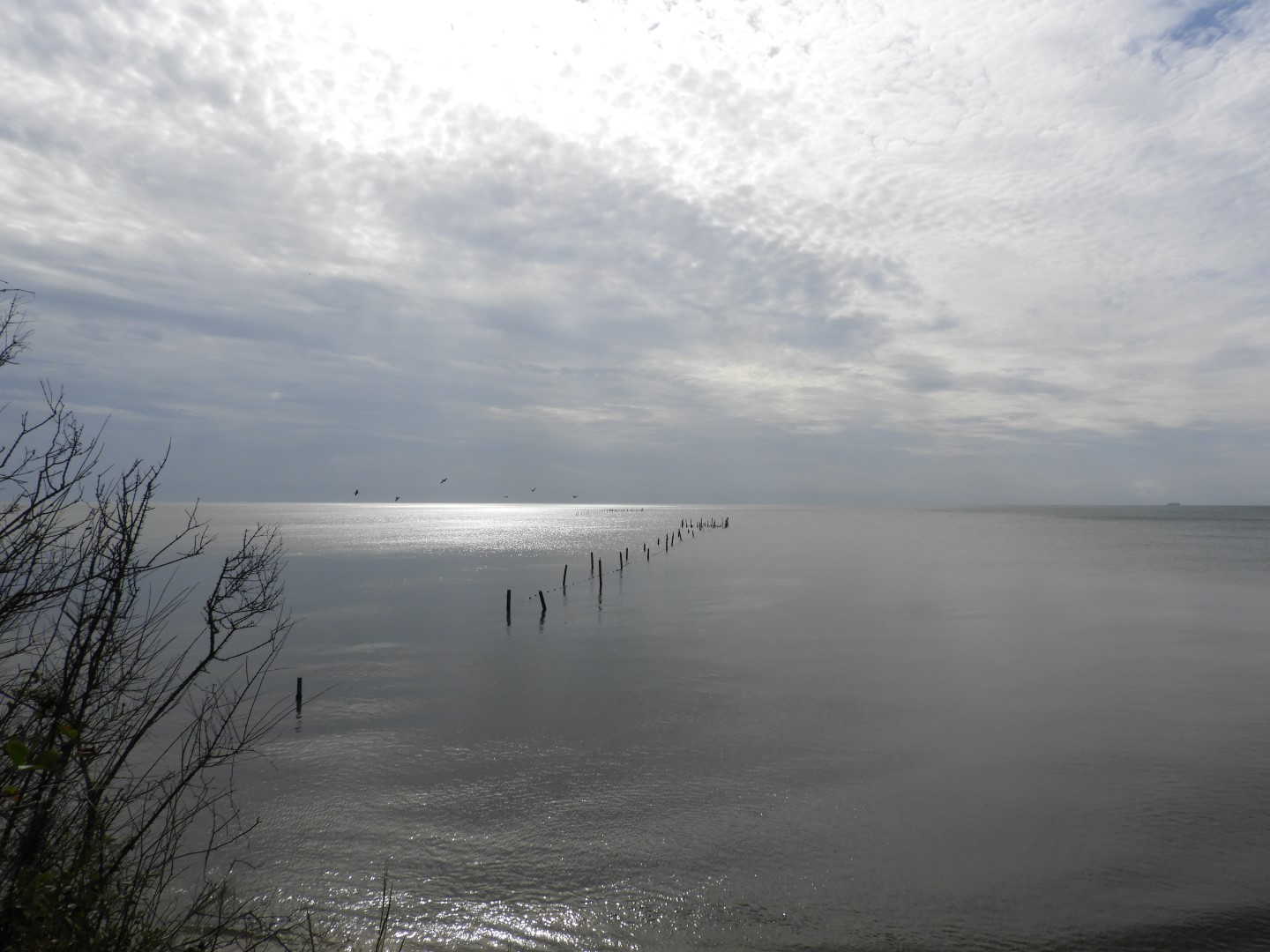 Cape Charles VA on the Delaware Peninsula  2 of 41 (#6268)