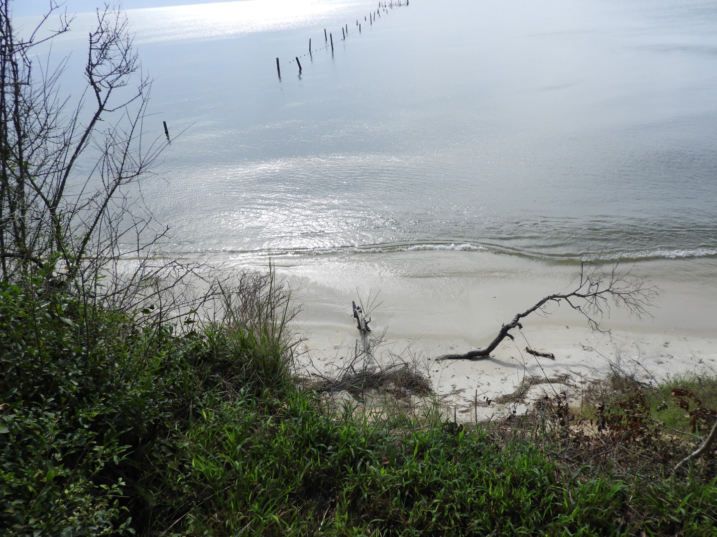 Cape Charles VA on the Delaware Peninsula  4 of 41 (#6270)